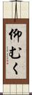 仰むく Scroll