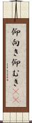 仰向き Scroll