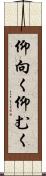 仰向く Scroll