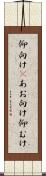 仰向け(P) Scroll