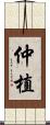 仲植 Scroll