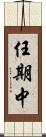 任期中 Scroll