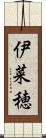 伊菜穂 Scroll