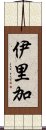 伊里加 Scroll