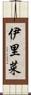 伊里菜 Scroll