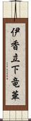 伊香立下竜華 Scroll