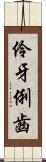 伶牙俐齒 Scroll