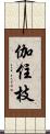 伽住枝 Scroll