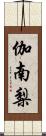 伽南梨 Scroll