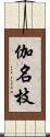 伽名枝 Scroll