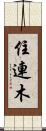 住連木 Scroll
