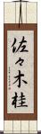 佐々木桂 Scroll