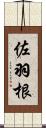 佐羽根 Scroll