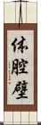 体腔壁 Scroll