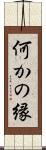 何かの縁 Scroll