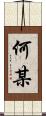 何某 Scroll