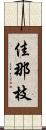 佳那枝 Scroll