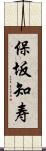 保坂知寿 Scroll