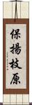 保揚枝原 Scroll