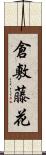 倉敷藤花 Scroll