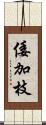 倭加枝 Scroll
