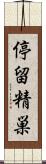 停留精巣 Scroll