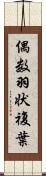 偶数羽状複葉 Scroll