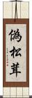 偽松茸 Scroll