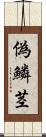 偽鱗茎 Scroll