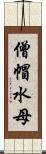 僧帽水母 Scroll