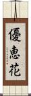 優恵花 Scroll