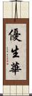 優生華 Scroll