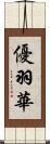 優羽華 Scroll