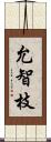 允智枝 Scroll