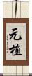 元植 Scroll