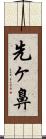 先ヶ鼻 Scroll
