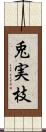 兎実枝 Scroll