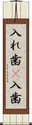 入れ歯(P) Scroll