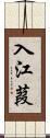 入江葭 Scroll