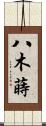 八木蒔 Scroll