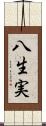 八生実 Scroll