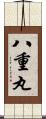 八重丸 Scroll