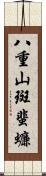 八重山斑蜚蠊 Scroll