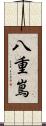 八重嶌 Scroll