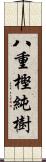 八重樫純樹 Scroll