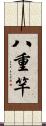 八重竿 Scroll