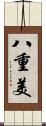 八重美 Scroll