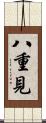 八重見 Scroll