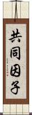 共同因子 Scroll