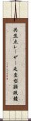共焦点レーザー走査型顕微鏡 Scroll